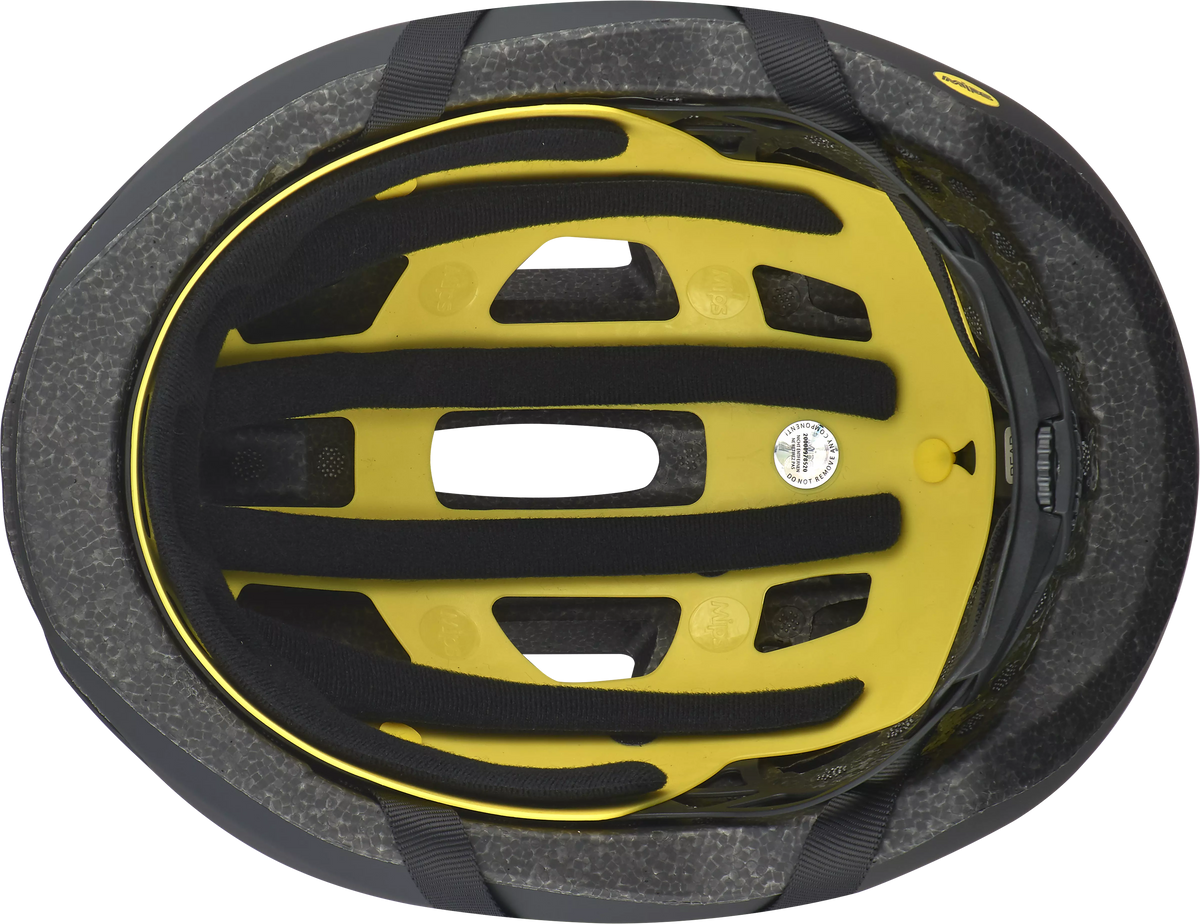Align II Mips