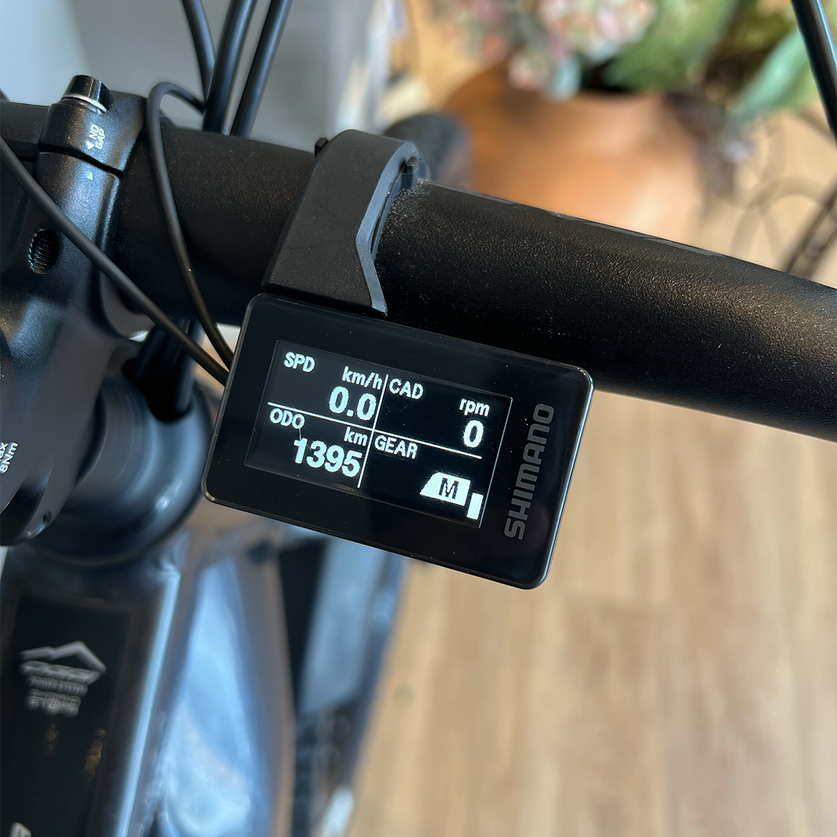 Oggi Forza E-Bike - 2026