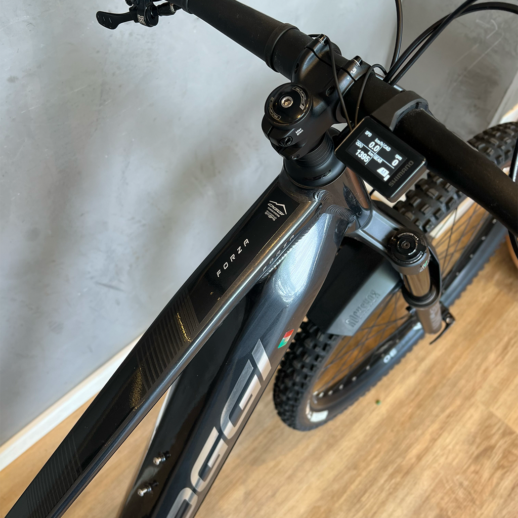 Oggi Forza E-Bike - 2026