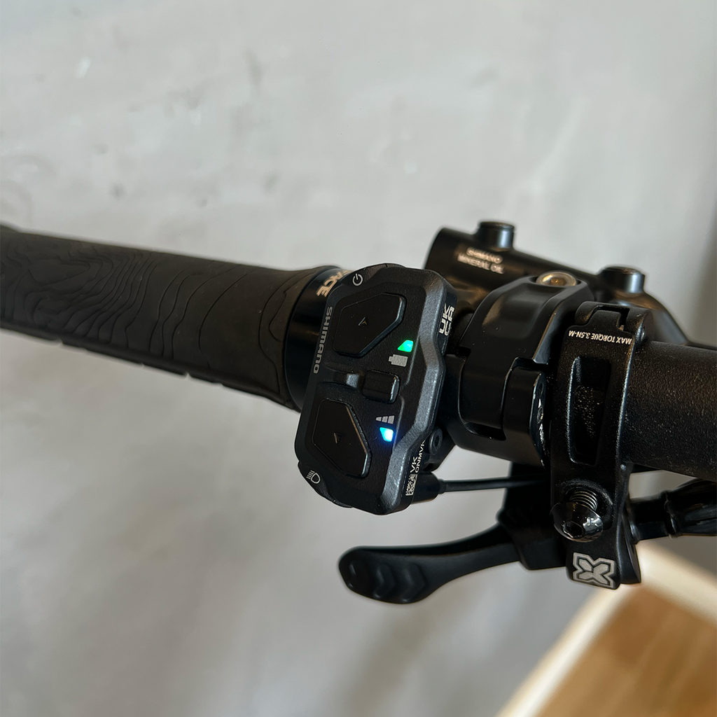 Oggi Forza E-Bike - 2026