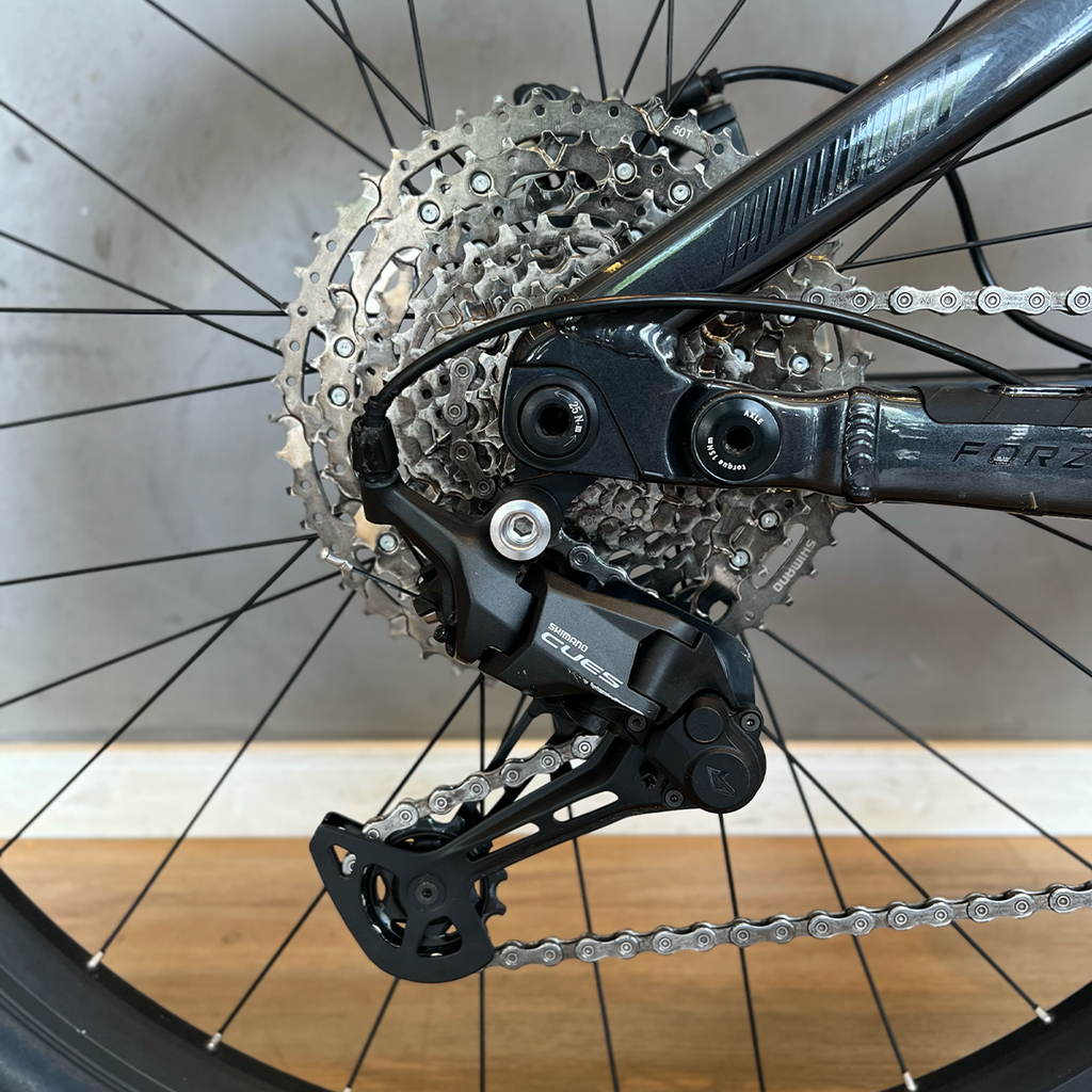 Oggi Forza E-Bike - 2026