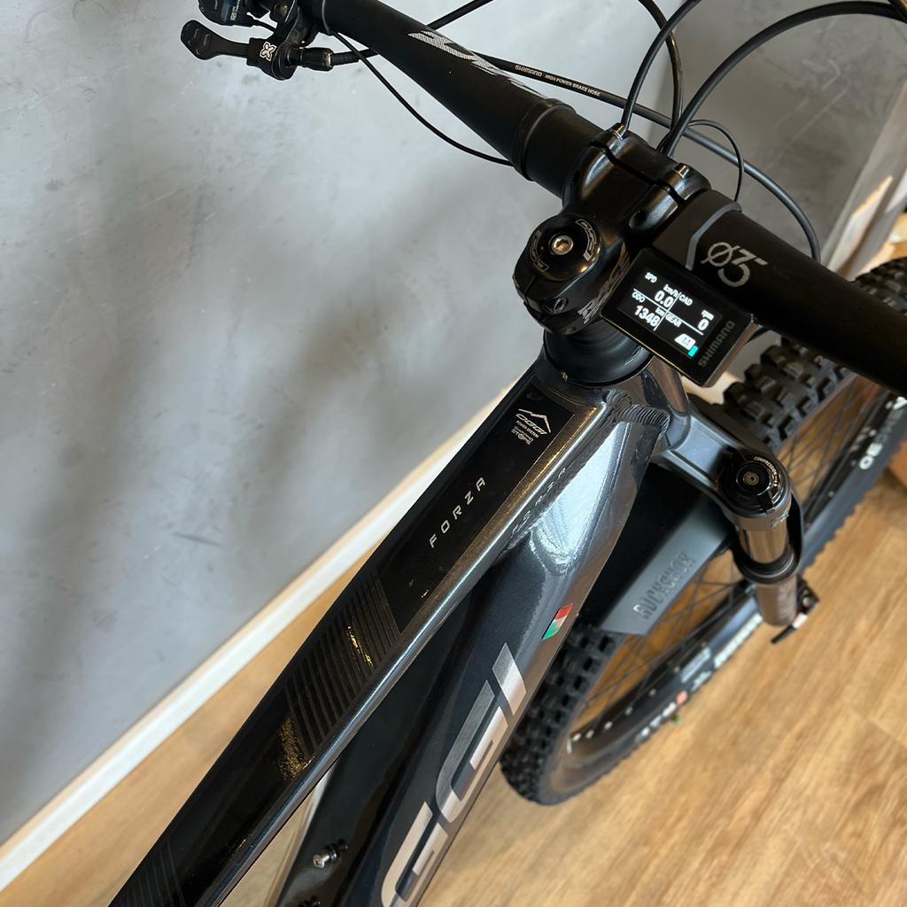Oggi Forza E-Bike - 2026